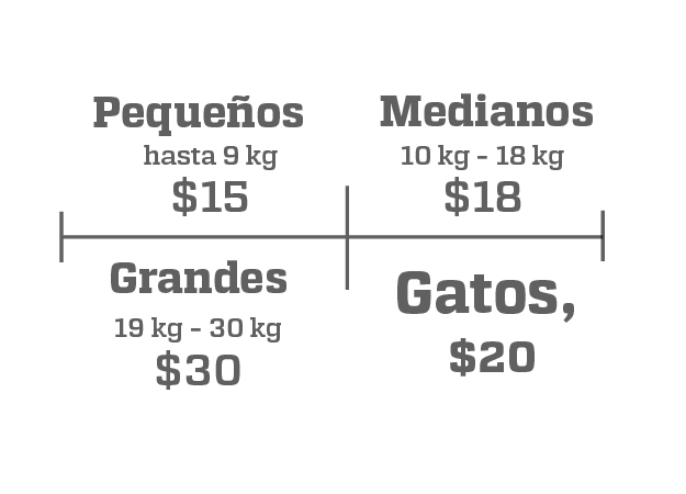 Nuestro servicio de peluquería canina y felina. 1 Precio peluqueria canina Mesa de trabajo 1