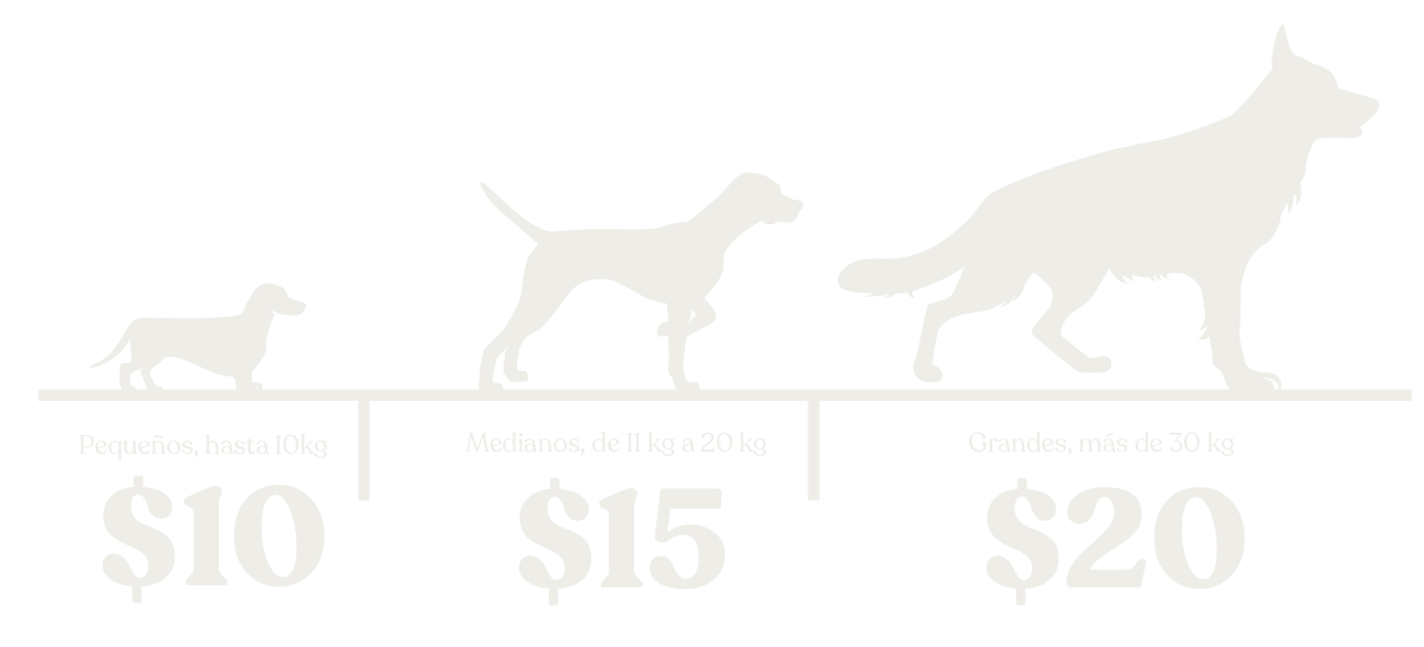 Precios de Hospedaje para perros en Calderón